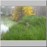 Majdalena 2.11.2008-3.JPG